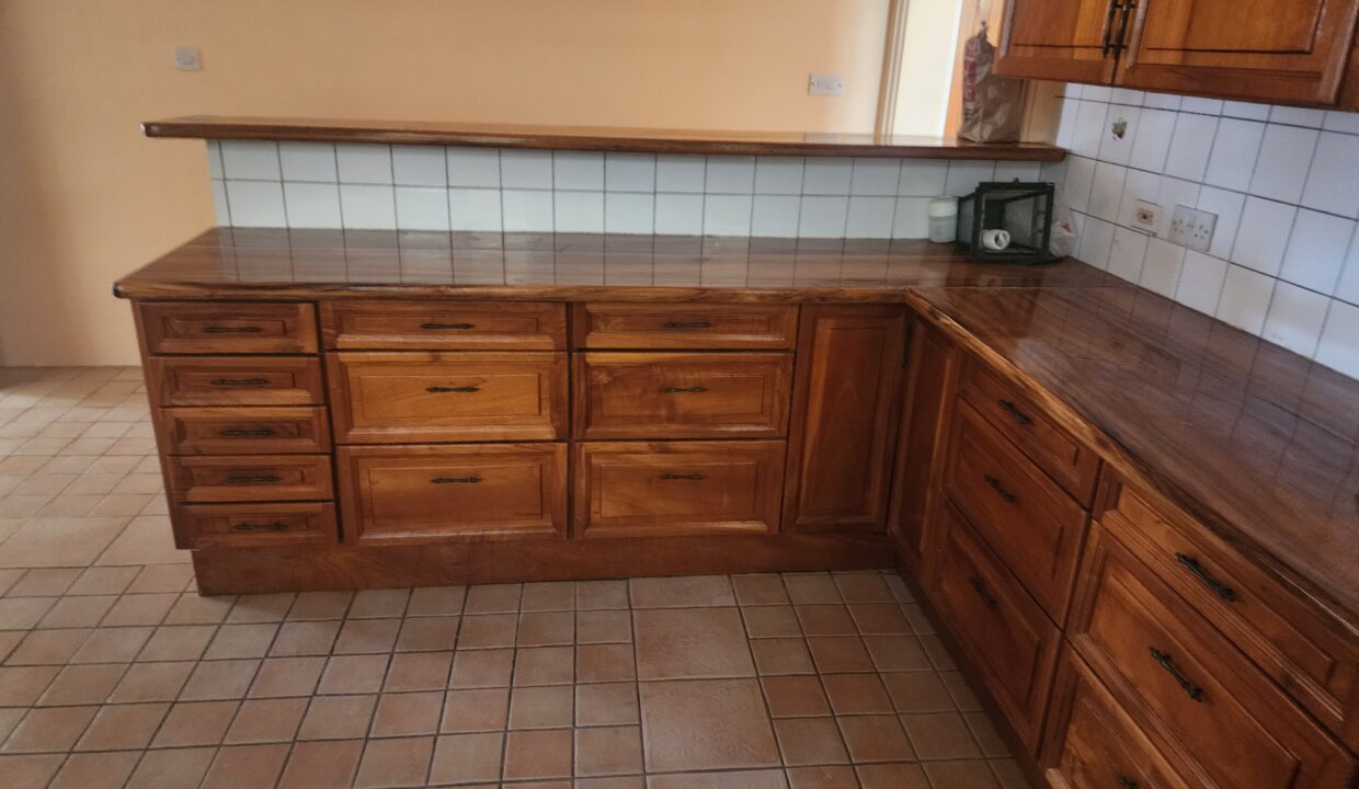 MD kitchen 1