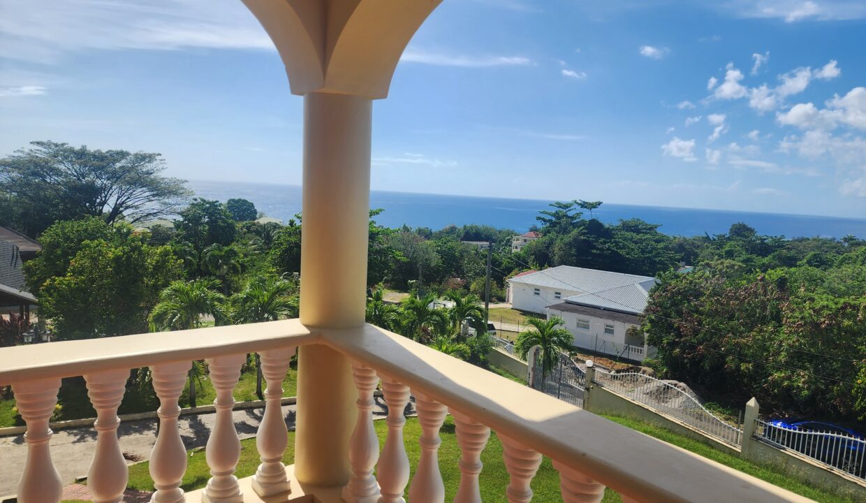 MD view 2