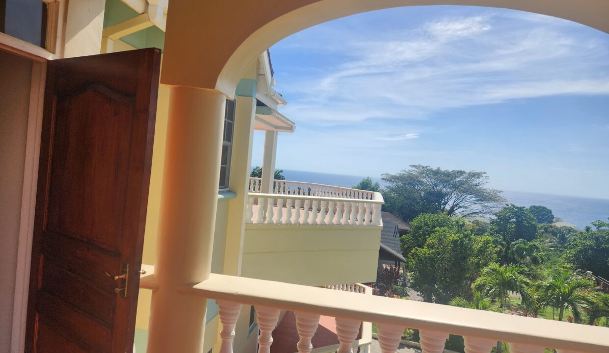 MD view 3